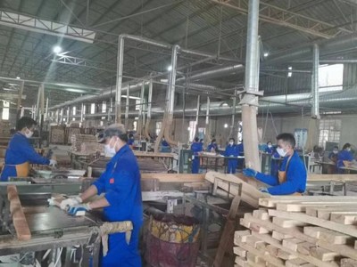 橡胶木材加工业助力西双版纳勐腊县乡村振兴