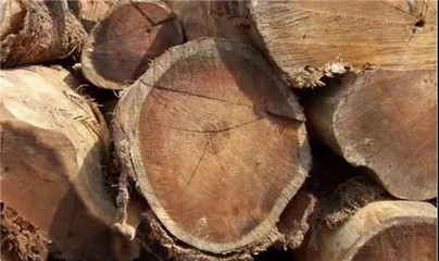 木材人值得一看:如何看待未来的木材加工行业?