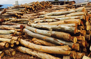 河北石家庄木材回收价格多少钱一吨